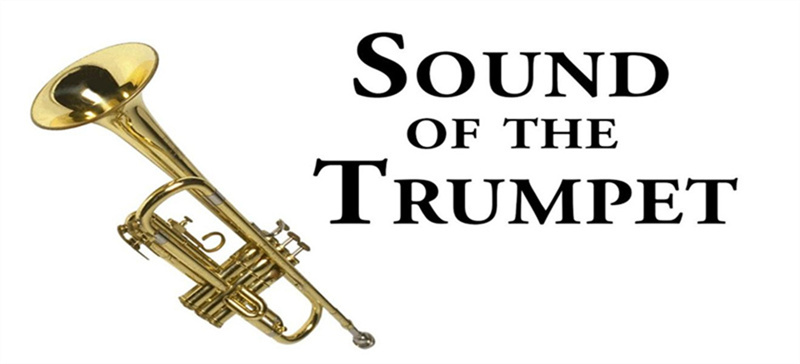 6 Best Trumpet Soundboards For Trumpet Sound Effect In 2023