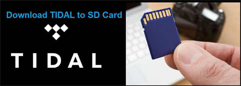 2 Ways to Download Tidal Music to SD Card  