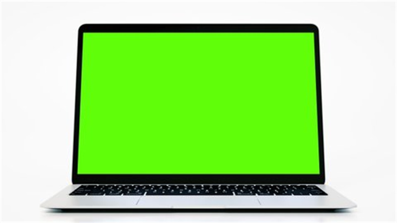 Why is My Laptop Screen Green? Here are 3 Fixes